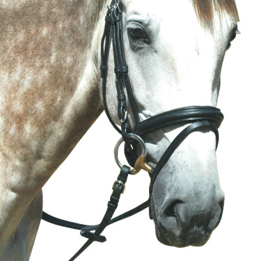Bridon Pull Back Le Touquet Privilege Equitation Bridon Pull Back Le Touquet Privilege Equitation