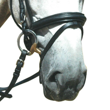 Bridon Pull Back Le Touquet Privilege Equitation Bridon Pull Back Le Touquet Privilege Equitation