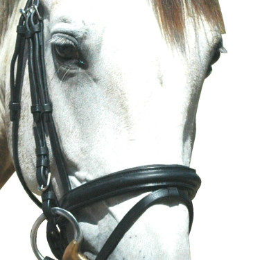 Bridon Pull Back Le Touquet Privilege Equitation Bridon Pull Back Le Touquet Privilege Equitation