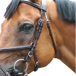 Bridon Royan Croisé Privilege Equitation Bridon Royan Croisé Privilege Equitation