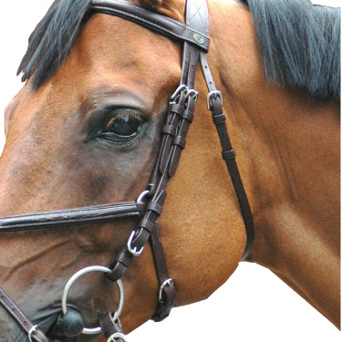 Bridon Royan Croisé Privilege Equitation Bridon Royan Croisé Privilege Equitation