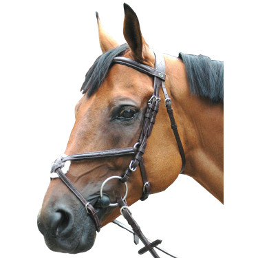 Bridon Royan Croisé Privilege Equitation Bridon Royan Croisé Privilege Equitation