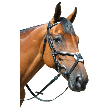 Bridon Deauville Croisé Privilege Equitation Bridon Deauville Croisé Privilege Equitation