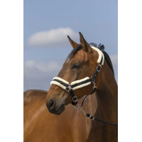 Licol Equithème Nylon Mouton Marine / blanc Bleu Licol Equithème Nylon Mouton Marine / blanc Bleu
