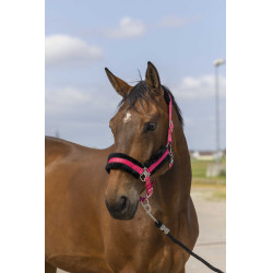 Licol Equithème Nylon Mouton Licol Equithème Nylon Mouton