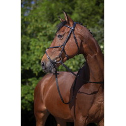 Bridon Riding World Muserolle croisée Noir Bridon Riding World Muserolle croisée Noir