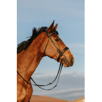 Bridon Riding World Muserolle large Noir