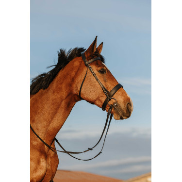 Bridon Riding World Muserolle large Bridon Riding World Muserolle large