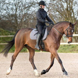 Cloches Lock On Horze