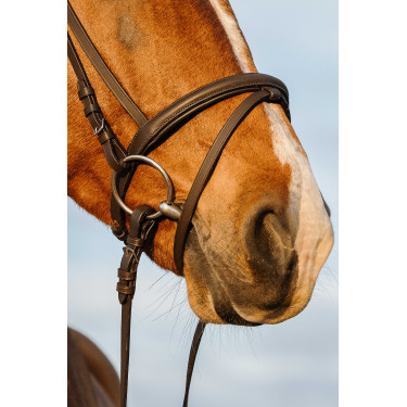 Bridon Riding World muserolle combinée double Bridon Riding World muserolle combinée double