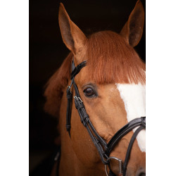 Birdon Oxford Performance Pénélope Noir Birdon Oxford Performance Pénélope Noir