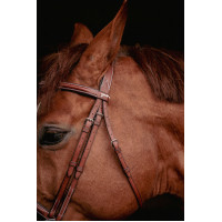 Bridon Hunter US Pénélope Noisette / havane Bridon Hunter US Pénélope Noisette / havane