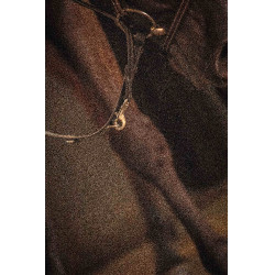 Rênes Pénélope Howlett cuir Noir