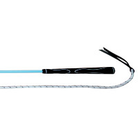 Stick éthologique Whip & Go bleu