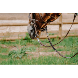 Bridon Bitless Norton Havane Marron