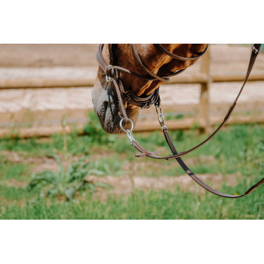 Bridon Bitless Norton Havane Marron Bridon Bitless Norton Havane Marron