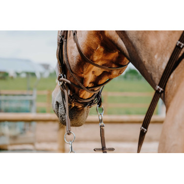 Bridon Bitless Norton Havane Marron Bridon Bitless Norton Havane Marron