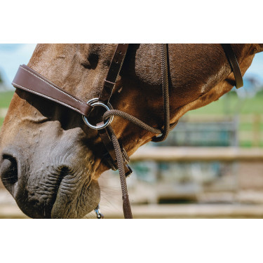 Bridon Bitless Norton Havane Marron Bridon Bitless Norton Havane Marron