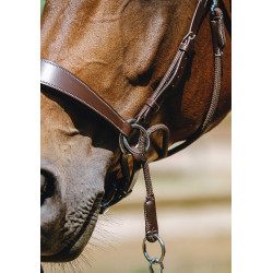 Bridon Bitless Norton Havane Marron