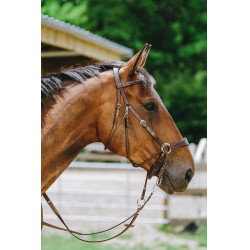 Bridon Bitless Norton Havane Marron