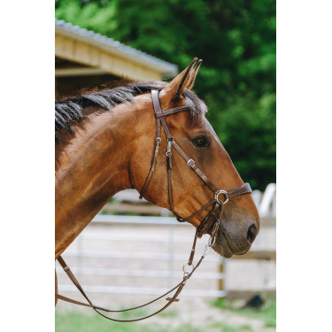 Bridon Bitless Norton Havane Marron Bridon Bitless Norton Havane Marron