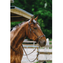 Bridon Bitless Norton Havane Marron