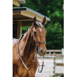 Bridon Bitless Norton Havane Marron