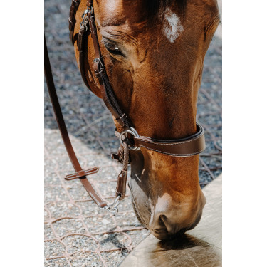 Bridon Bitless Norton Havane Marron Bridon Bitless Norton Havane Marron
