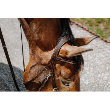 Bridon Bitless Norton Havane Marron Bridon Bitless Norton Havane Marron