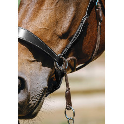 Bridon Bitless Norton Havane Marron