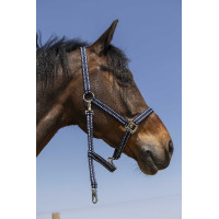 Licol Norton Grooming Bleu marine Licol Norton Grooming Bleu marine