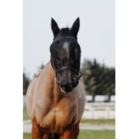 Licol + masque Equithème Noir