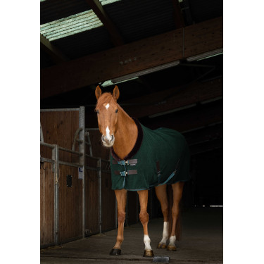 Chemise polaire Equithème Teddy