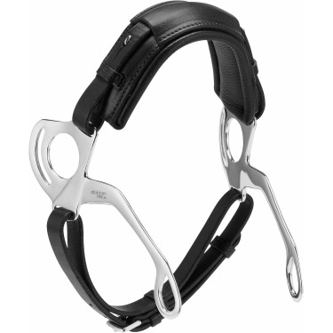 Hackamore Poney 2494