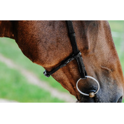 Bridon Freedom Norton Noir