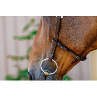 Bridon Freedom Norton Noir Bridon Freedom Norton Noir