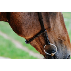 Bridon Freedom Norton Havane Marron Bridon Freedom Norton Havane Marron