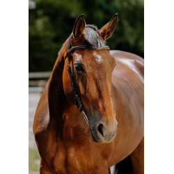 Bridon Freedom Norton Havane Marron Bridon Freedom Norton Havane Marron