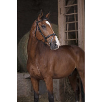 Bridon Norton Pro Combinée Noir Bridon Norton Pro Combinée Noir