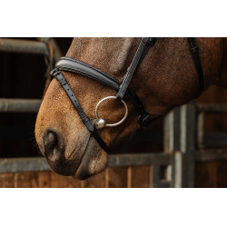 Bridon Norton Pro Dark Noir Bridon Norton Pro Dark Noir