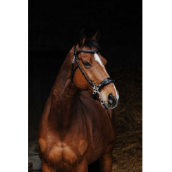 Bridon Norton Pro Hackamore