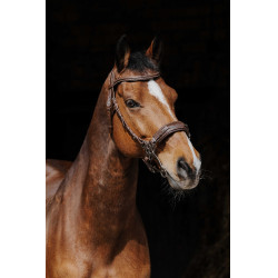 Bridon Norton Pro Hackamore