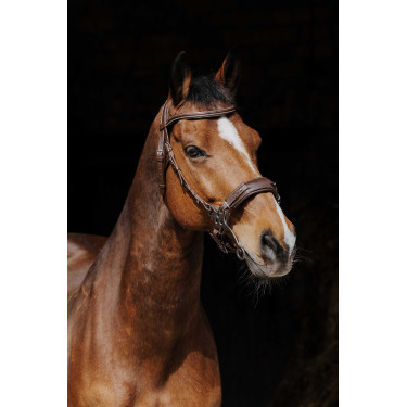 Bridon Norton Pro Hackamore Bridon Norton Pro Hackamore
