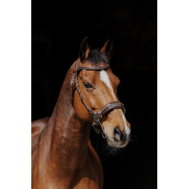 Bridon Norton Pro Hackamore Bridon Norton Pro Hackamore
