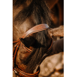 Bridon Eric Thomas Work Havane Marron