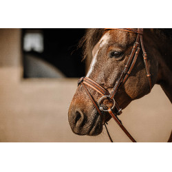 Bridon Eric Thomas Work Havane Marron