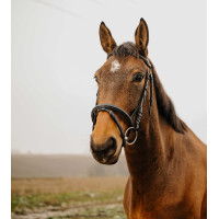 Bridon Norton Club Square Havane Marron