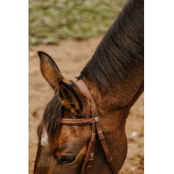 Bridon Norton Club Square Havane Marron Bridon Norton Club Square Havane Marron