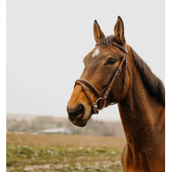 Bridon Norton Club Square Havane Marron Bridon Norton Club Square Havane Marron