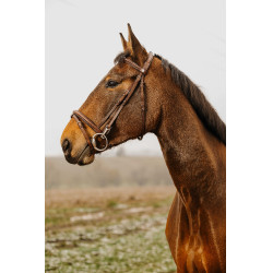 Bridon Norton Club Easy Havane Marron Bridon Norton Club Easy Havane Marron